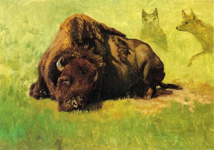 Albert Bierstadt Painting Bison with Coyotes in the Background